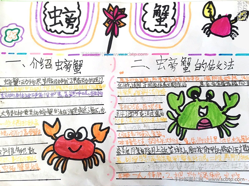 海鲜食品螃蟹为主题的手抄报