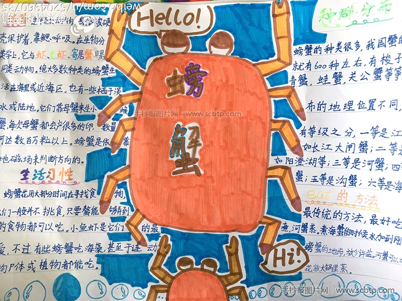 海鲜食品螃蟹为主题的手抄报