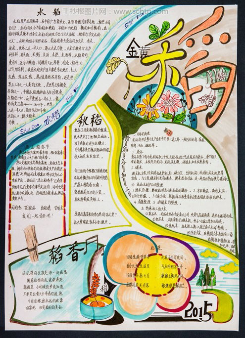 精美的稻香节手抄报版面设计图