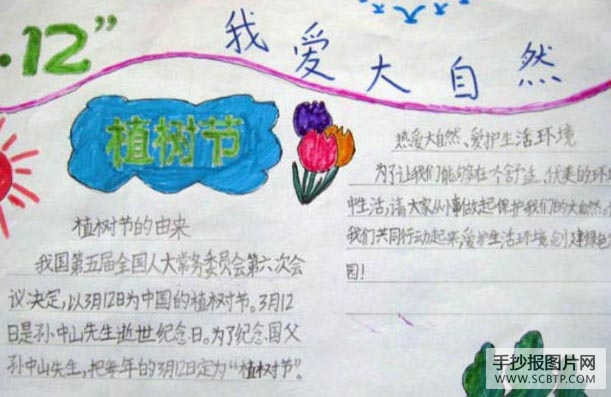 多一片绿叶，多一份温馨手抄报