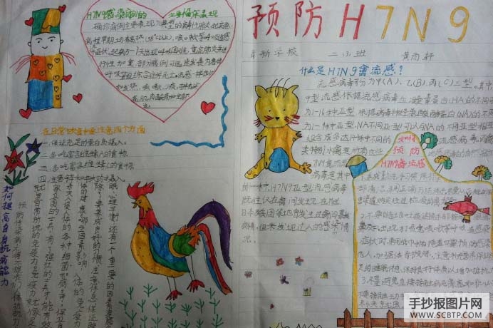 预防禽流感，讲卫生的手抄报