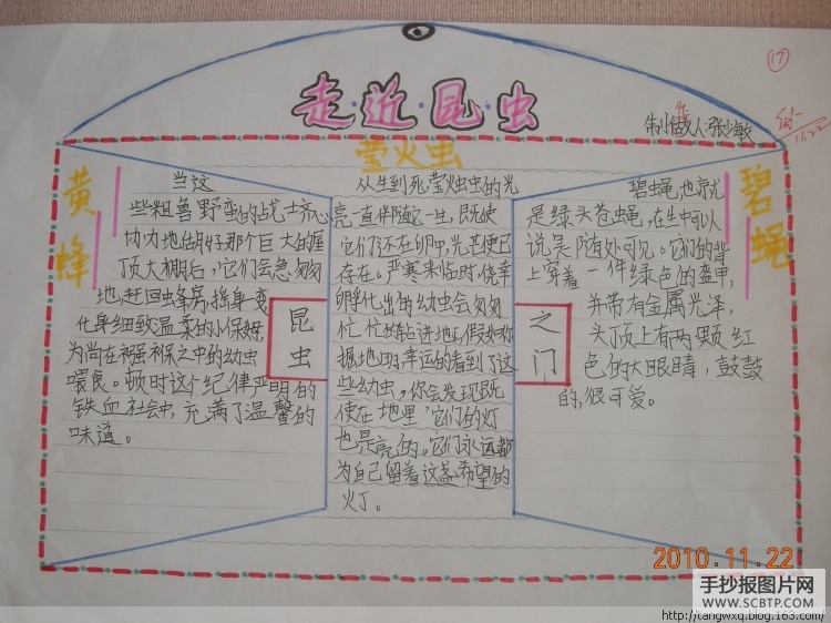走进昆虫之门的手抄报