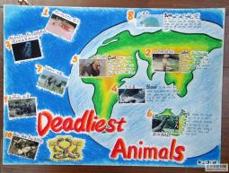 世界上最致命的10种动物手抄报(双语版)