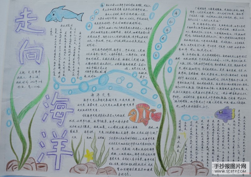走向海洋手抄报图片