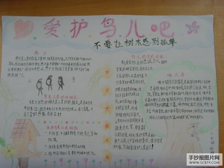 小学生爱鸟护鸟手抄报