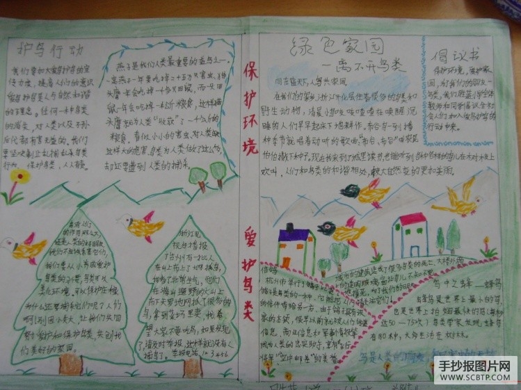 小学生爱鸟护鸟手抄报