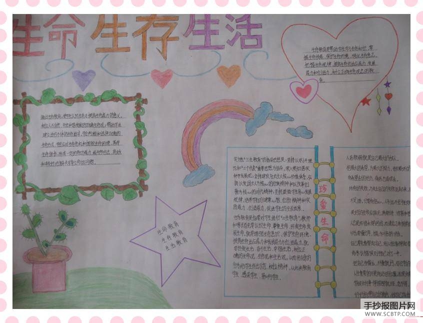 三生教育手抄报
