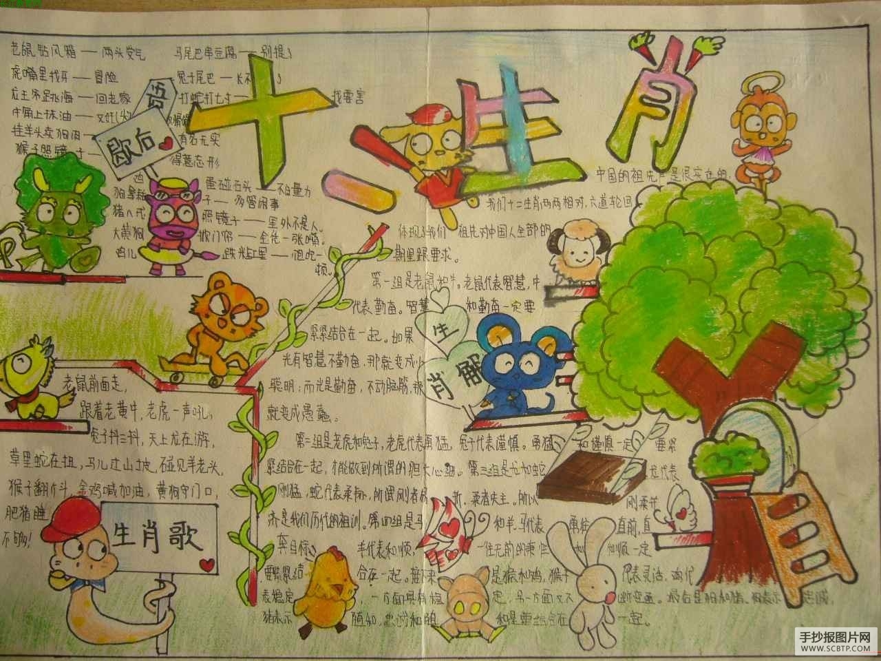 十二生肖手抄报图片