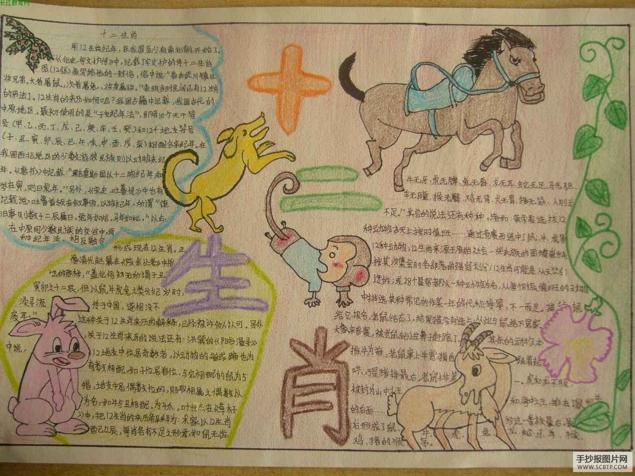 十二生肖手抄报图片