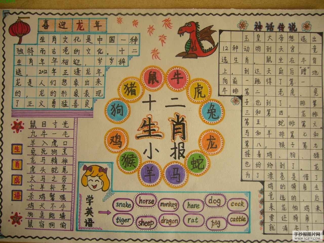 十二生肖手抄报图片