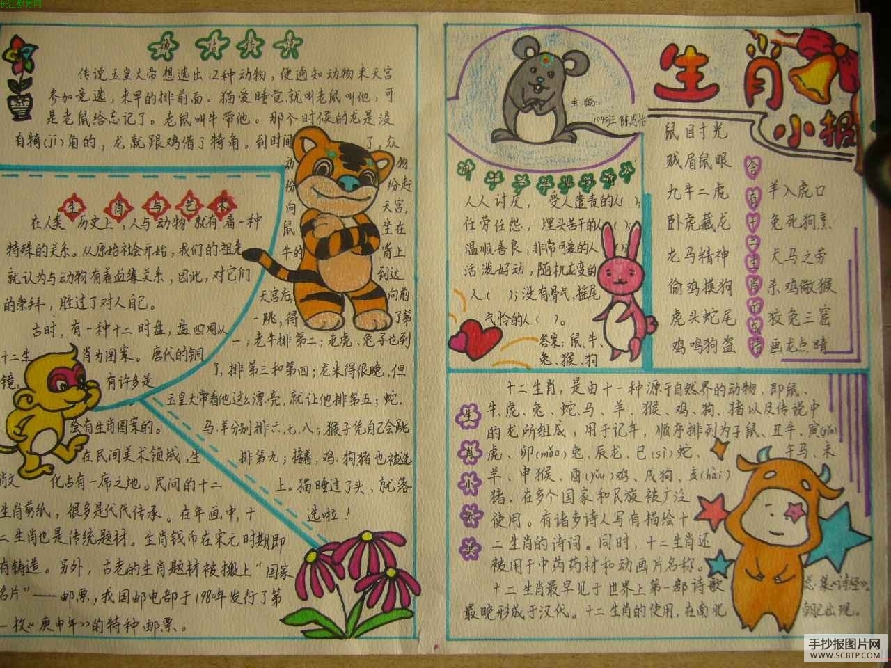 十二生肖手抄报图片