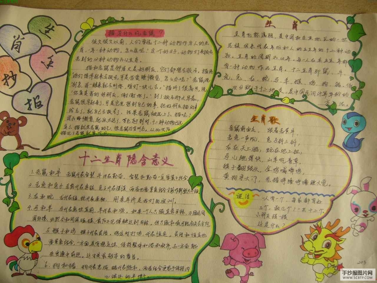 十二生肖手抄报图片
