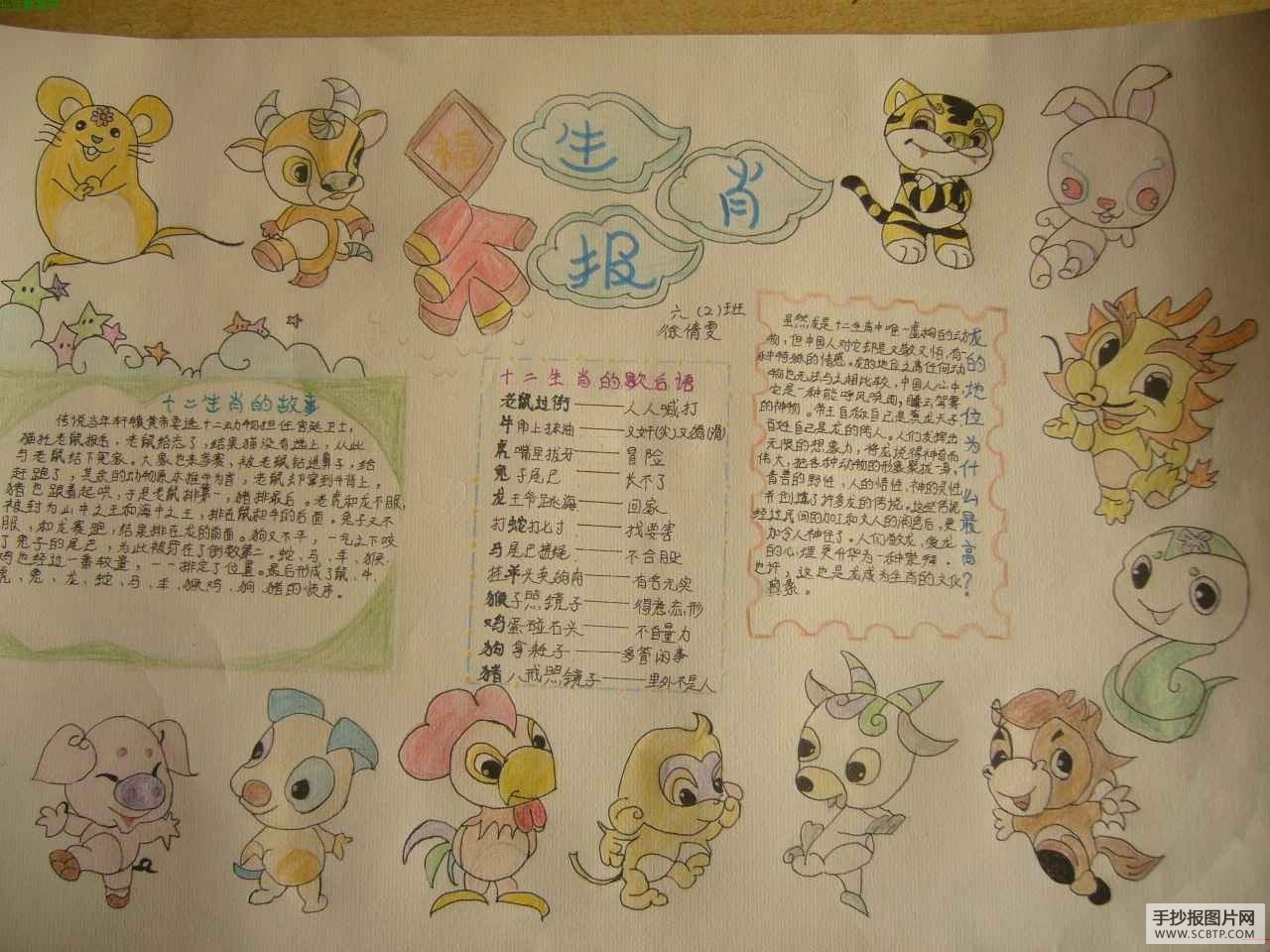 十二生肖手抄报图片