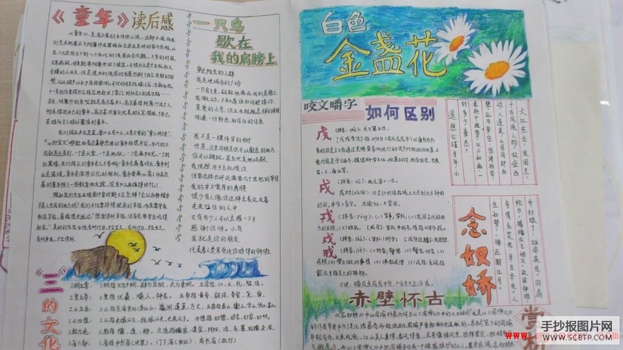 小学生读好书读后感手抄报图片