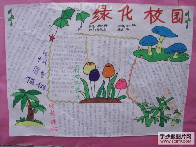 绿色校园手抄报图片集锦