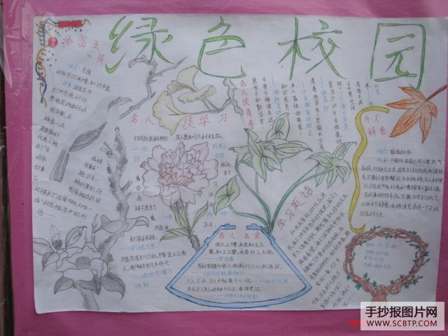绿色校园手抄报图片集锦