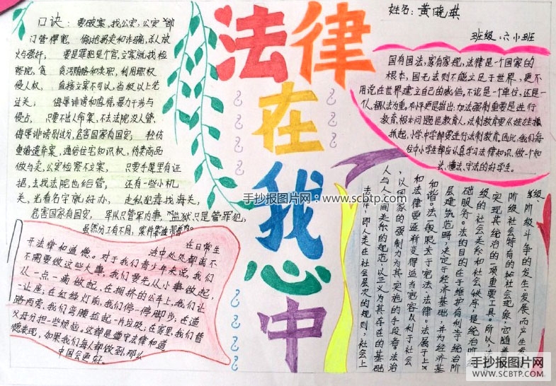 法律在我心中