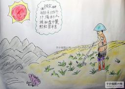 悯农手抄报插图