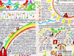 生命无价 交通安全手抄报