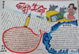 呵护生命，安全你我他的手抄报