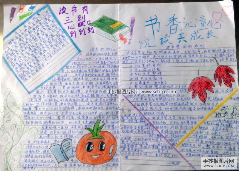 江城书香沁童心的手抄报