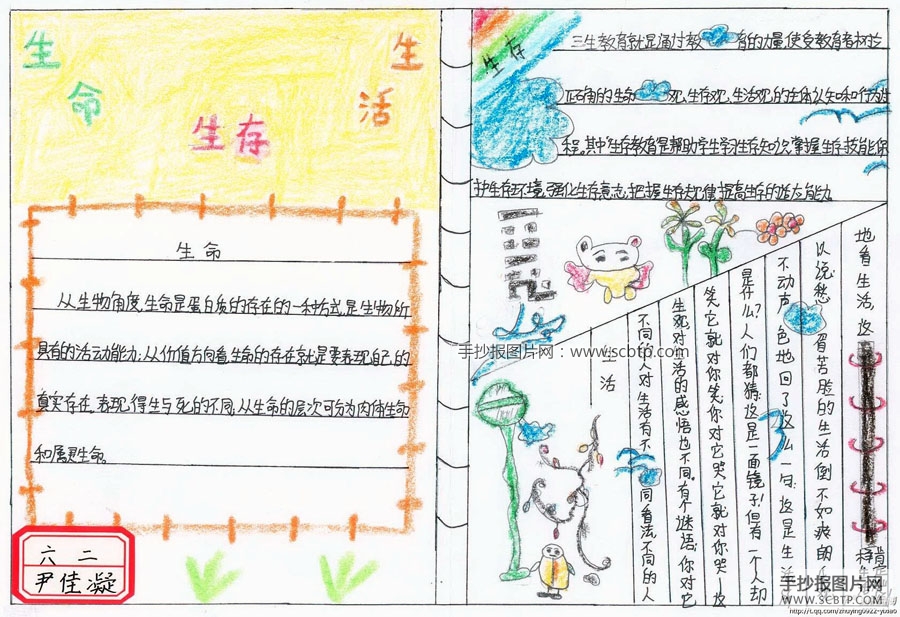 生活、生存、生命，三生教育手抄报