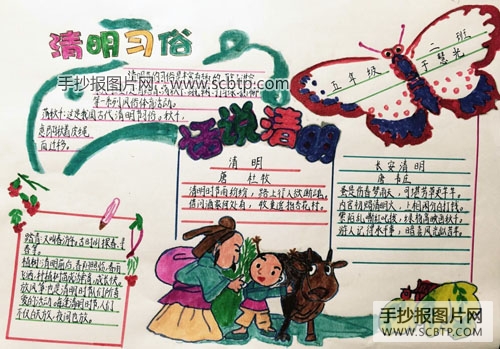 小学生清明节手抄报图片大全