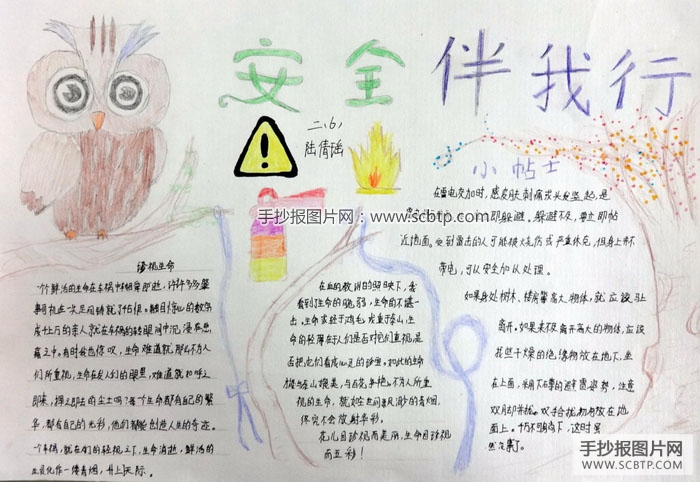 交通安全手抄报版面设计图大全