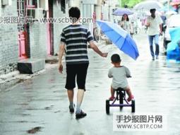 雨中的伞—关于父爱的作文