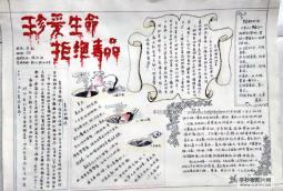 珍爱生命远离毒品的手抄报内容