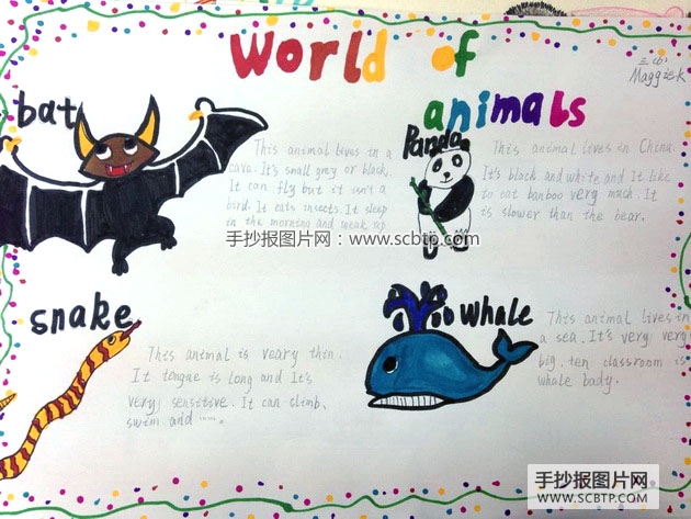 “动物世界”主题的英语手抄报