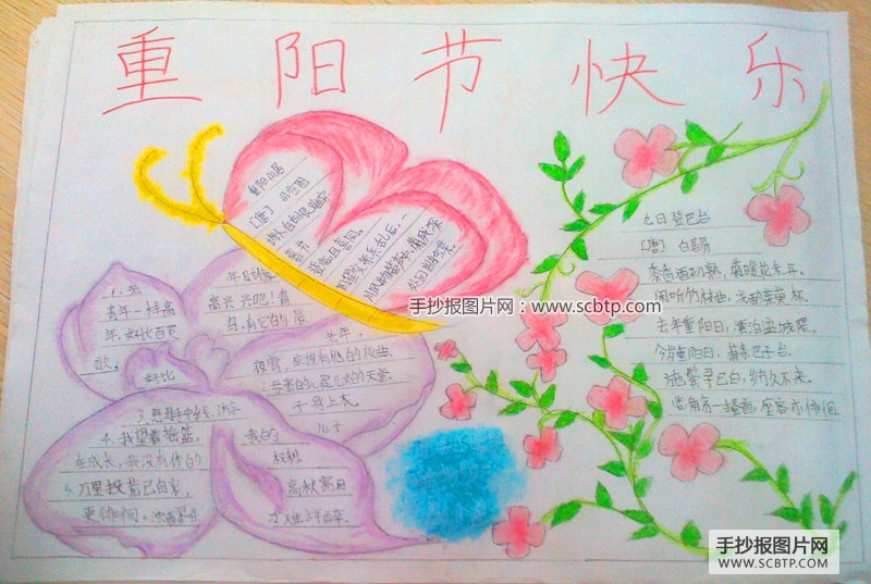 小学生重阳节手抄报图片设计