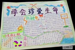 学会珍爱生命，防触电的手抄报