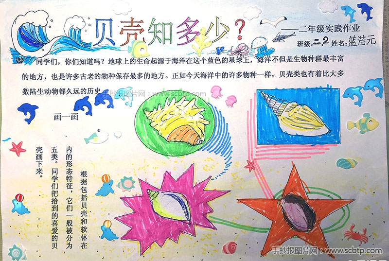 实验小学“快乐悦读“之读书手抄报