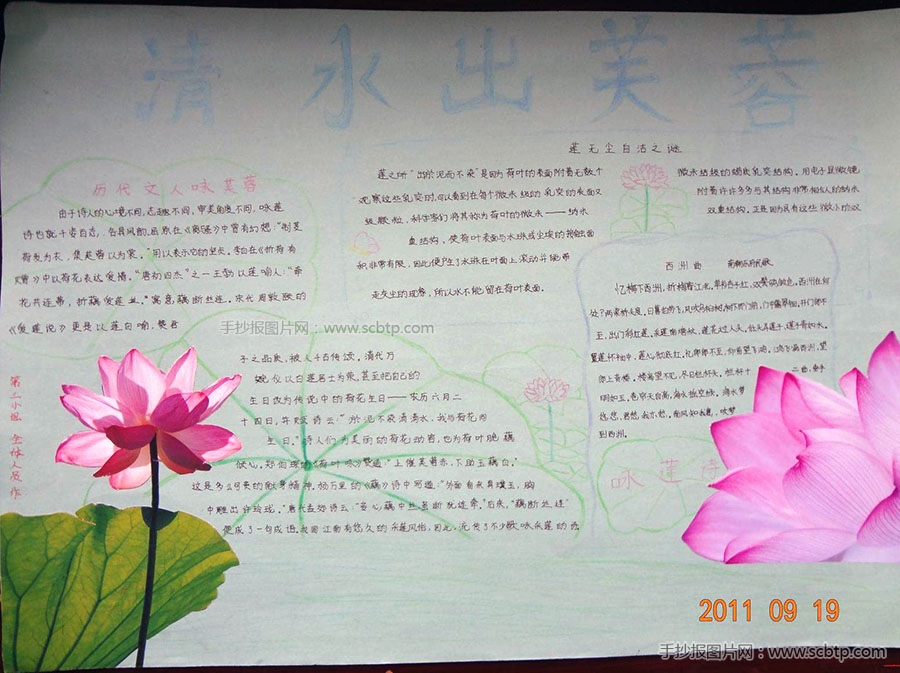 关于莲文化的手抄报图片