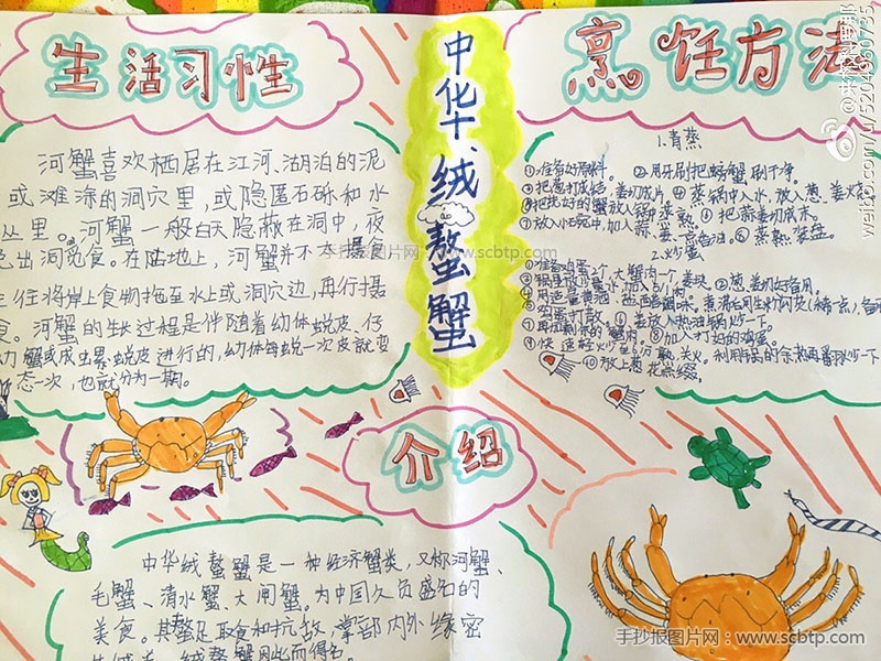 海鲜食品螃蟹为主题的手抄报