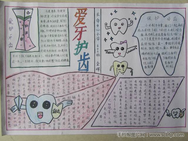 爱牙护齿手抄报获奖作品