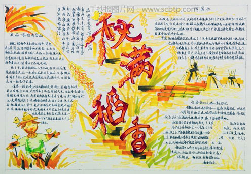 "金秋时节,稻花飘香"手抄报图片