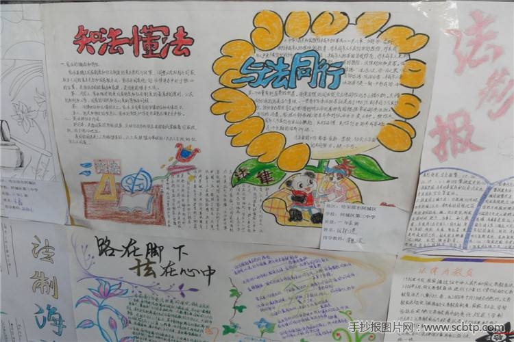 小学生手抄报:法制在我心中