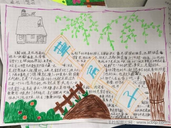 小学生读书手抄报:草房子