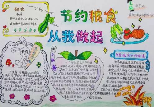 11.16世界粮食日手抄报版面设计图