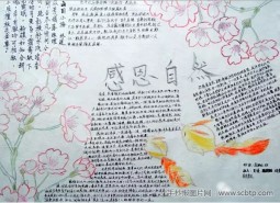 感恩自然 感恩节手抄报