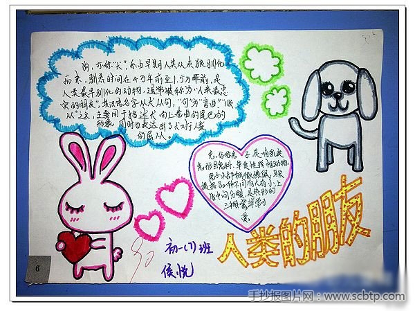 一组关于动物的手抄报