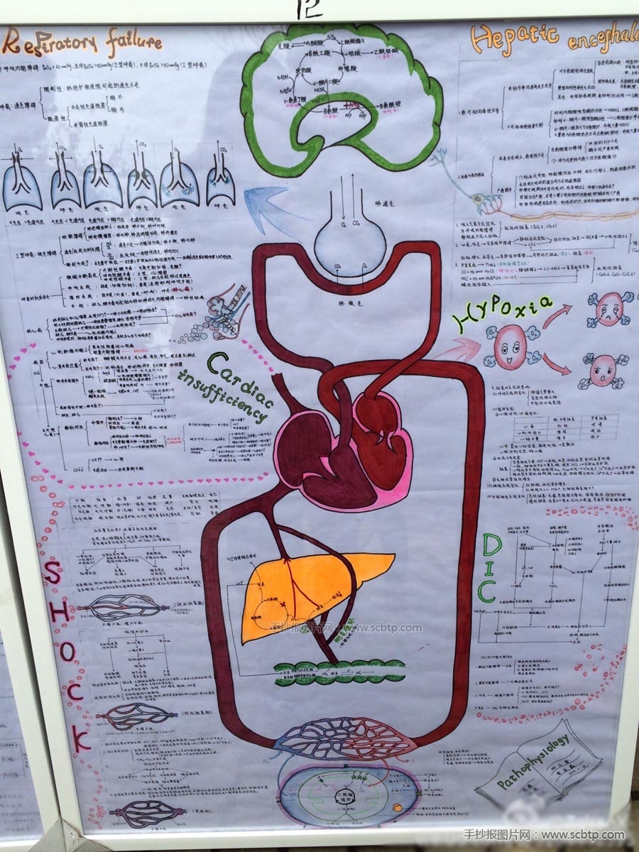 医学主题手抄报