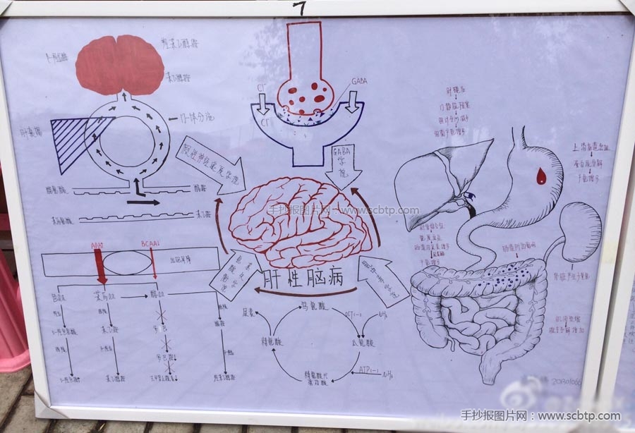 医学漫画手抄报图片