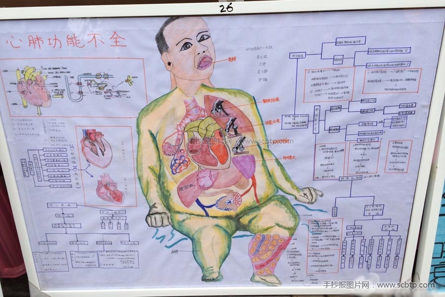 医学主题手抄报