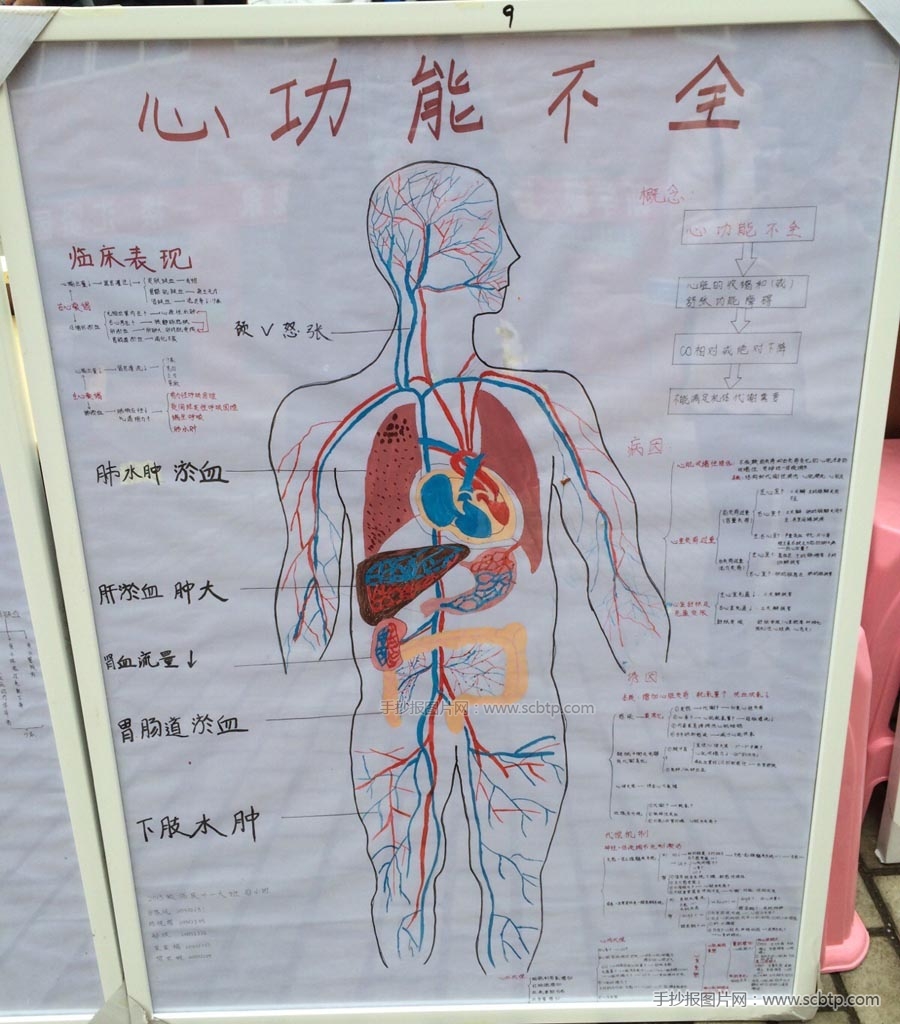 医学主题手抄报