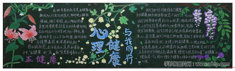 "美丽校园,你我同行"主题优秀手抄报