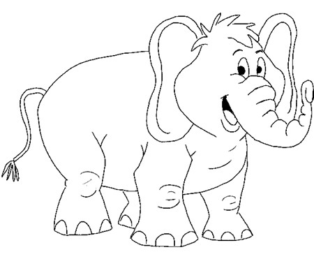 大象的鼻子表演