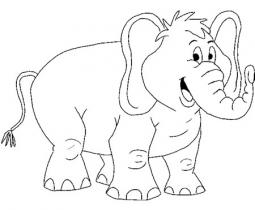 大象的鼻子表演